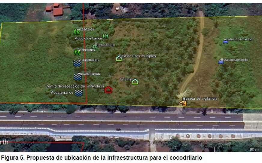 Presentan en la COP30 un modelo de convivencia entre humanos y cocodrilos para enfrentar el cambio climático en Michoacán