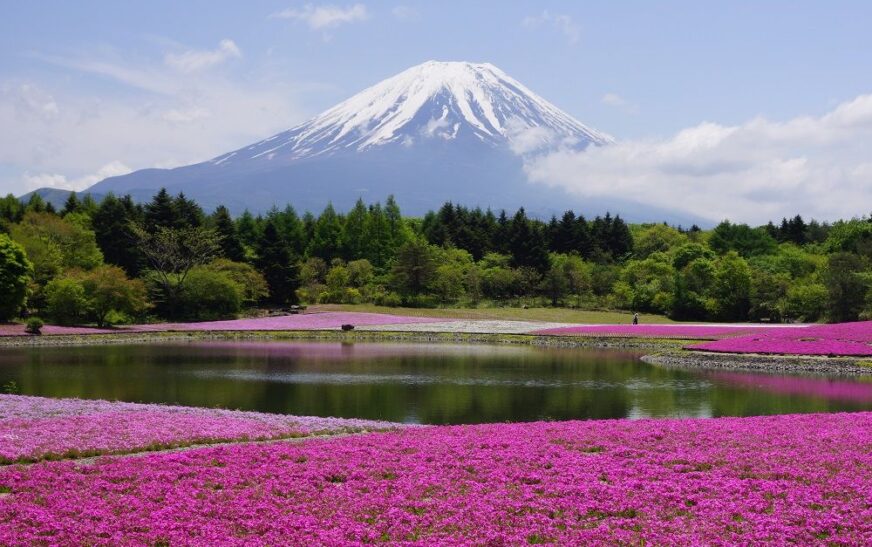 Despegar comparte destinos de montaña, una de las tendencias de viaje para 2026