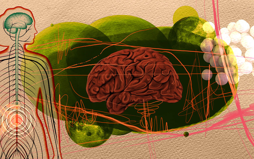 El parkinson podría iniciar en el intestino, no en el cerebro