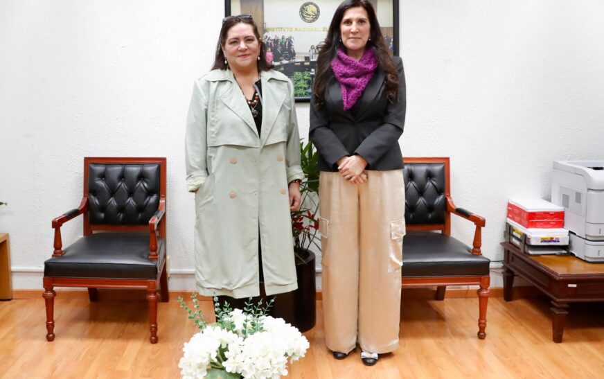 El INE tiene las puertas abiertas de la Cámara de Diputados: Kenia López Rabadán