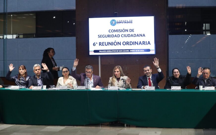 Comisión de Seguridad aprobó por unanimidad reformas para prevenir violencia familiar y fortalecer la seguridad vial