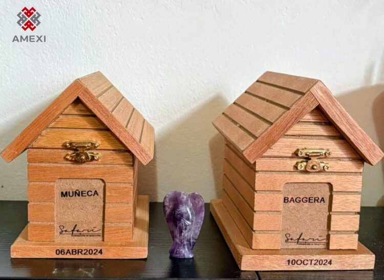 Seguro para mascotas al alza: ¿Vale la pena contratalos? (Video)