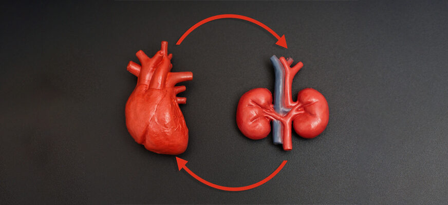 Evidencia internacional redefine el manejo cardiorrenal: México observa un cambio de paradigma clínico