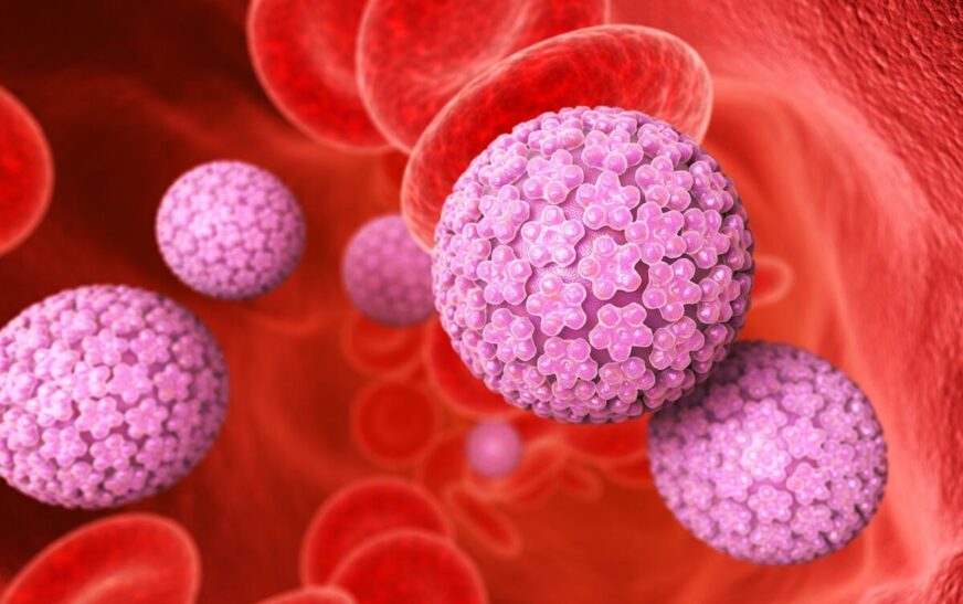 VPH en México: 8 de cada 10 personas se infectarán en algún momento de su vida