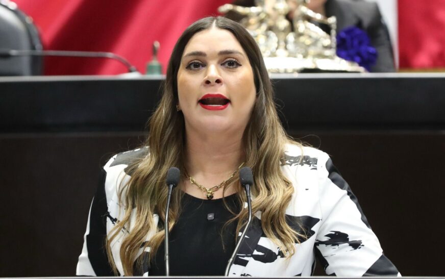 Proponen deducir el Impuesto Sobre la Renta en gastos médicos veterinarios para animales de compañía