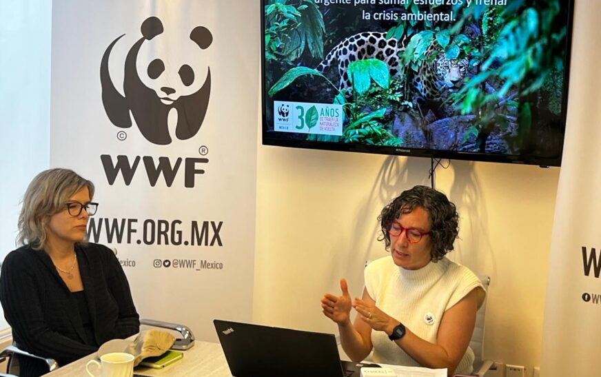 Urge WWF México a multiplicar esfuerzos para frenar la triple crisis ambiental